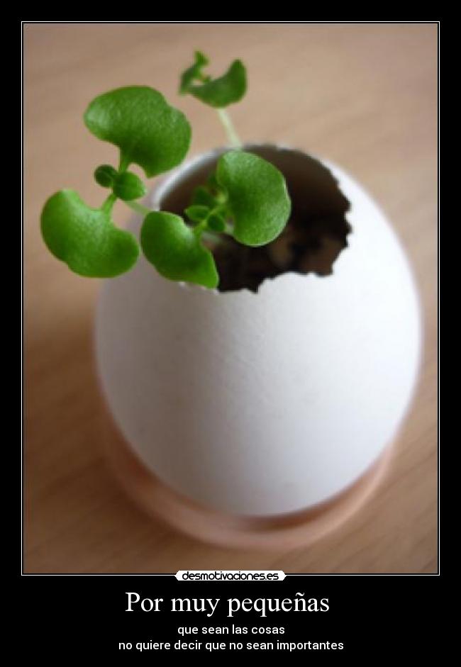 Por muy pequeñas - que sean las cosas
no quiere decir que no sean importantes