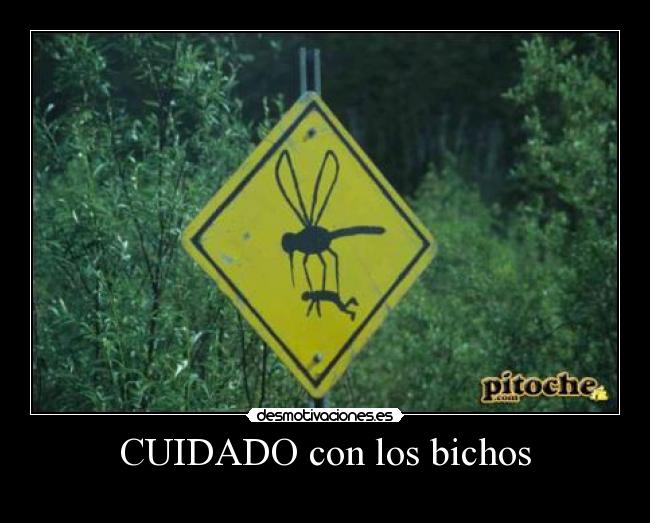 CUIDADO con los bichos - 