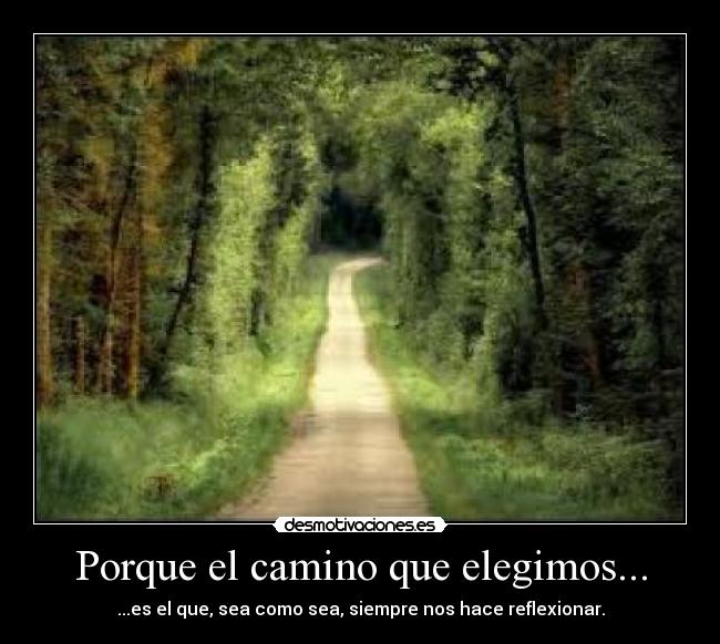 Porque el camino que elegimos... -