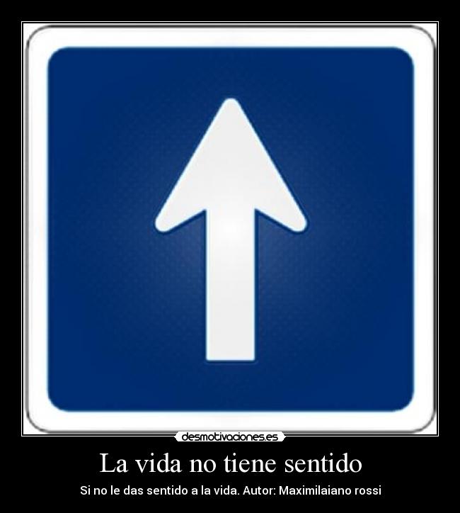 La vida no tiene sentido -
