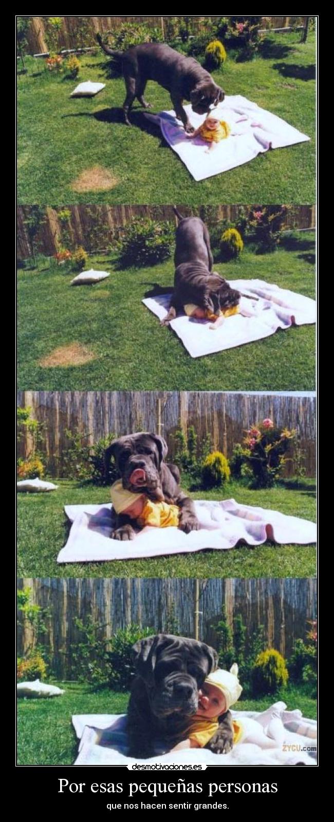 carteles sentimental desmotivaciones