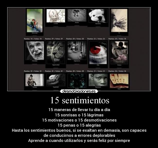 15 sentimientos - 
