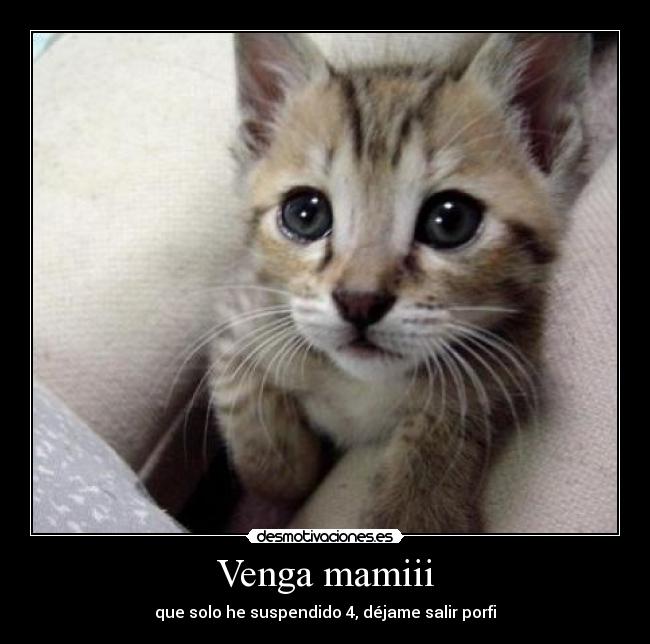 Venga mamiii - que solo he suspendido 4, déjame salir porfi