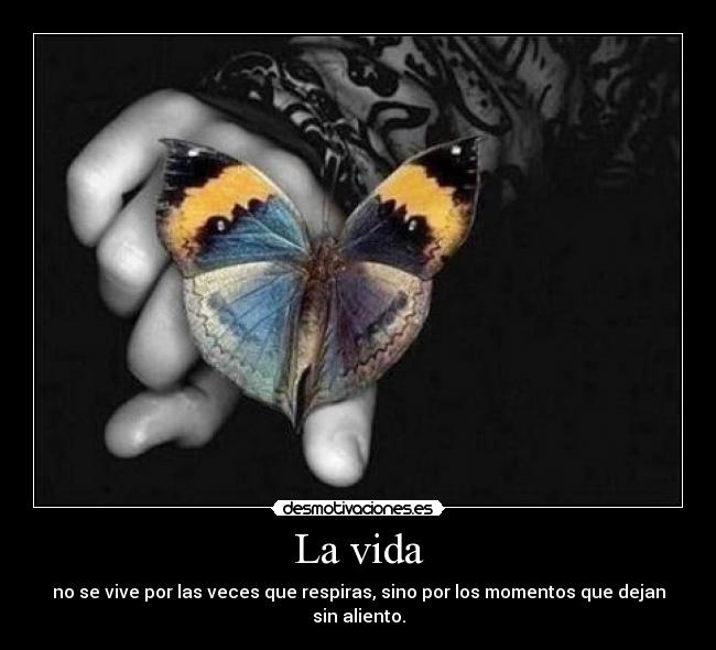 La vida - no se vive por las veces que respiras, sino por los momentos que dejan sin aliento.