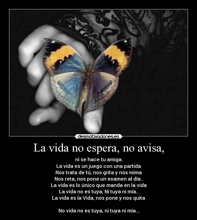 La vida no espera, no avisa, -