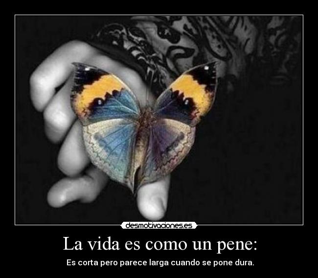 La vida es como un pene: - Es corta pero parece larga cuando se pone dura.
