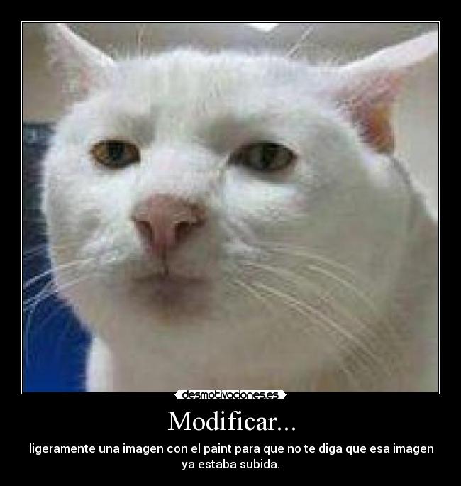 Modificar... - 