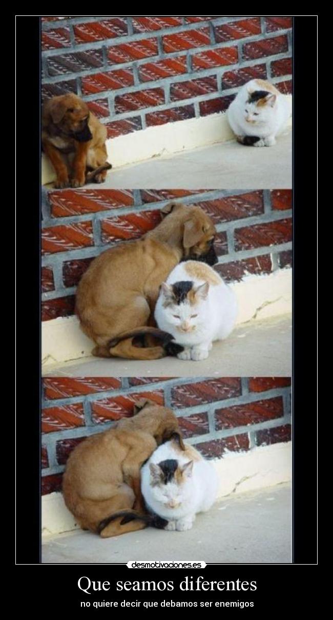 Que seamos diferentes - 