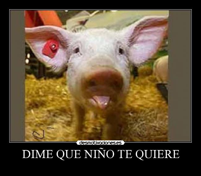 DIME QUE NIÑO TE QUIERE - 