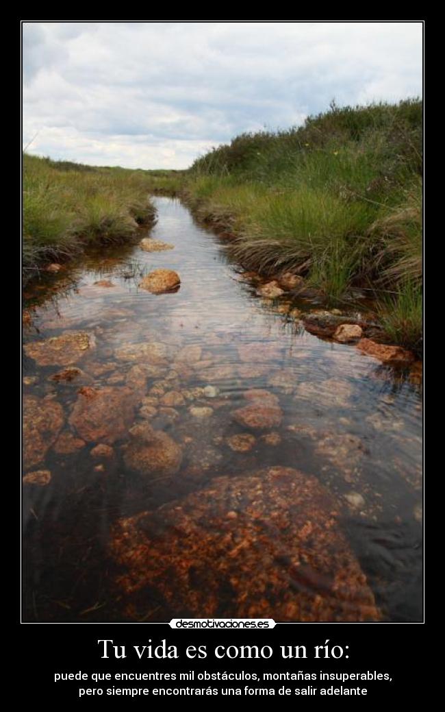 Tu vida es como un río: - puede que encuentres mil obstáculos, montañas insuperables,
pero siempre encontrarás una forma de salir adelante