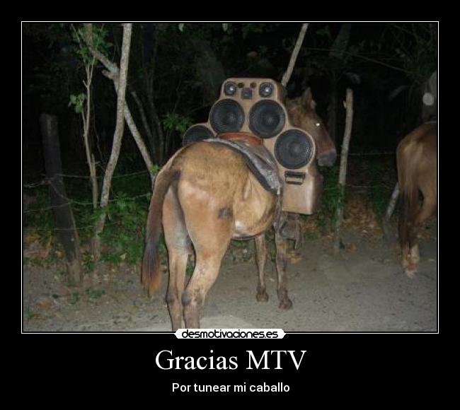 carteles tony199 mtv tunning caballo altavoz desmotivaciones