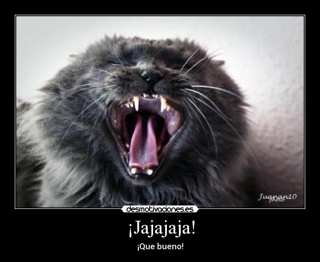 ¡Jajajaja! - ¡Que bueno!