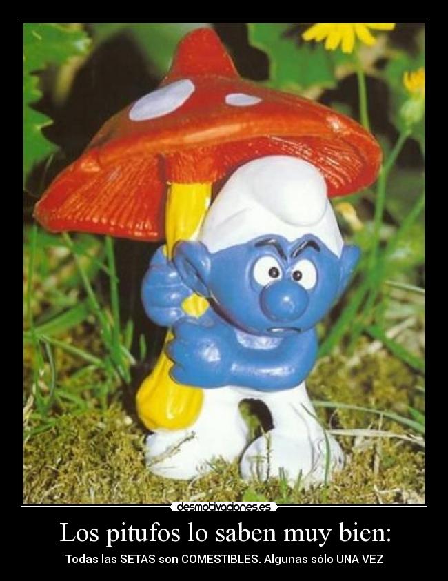 Los pitufos lo saben muy bien: - 