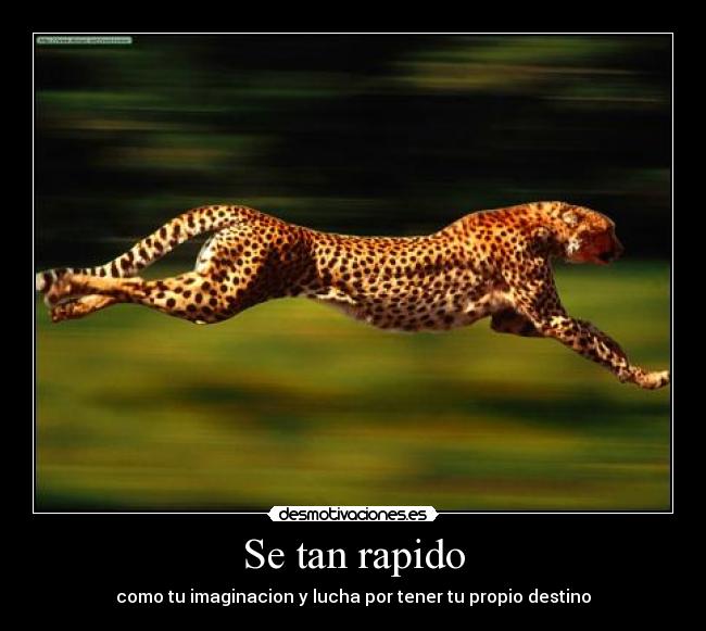 Se tan rapido -