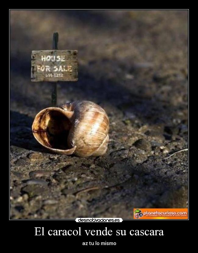 El caracol vende su cascara -