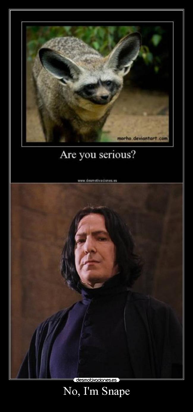 No, Im Snape - 