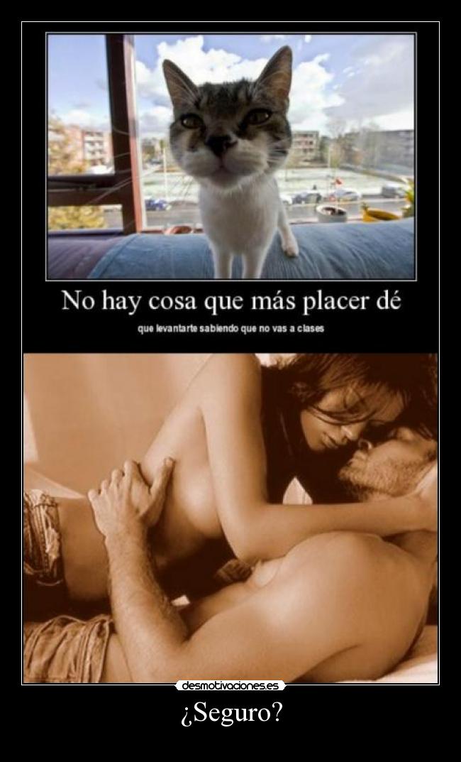 ¿Seguro? - 
