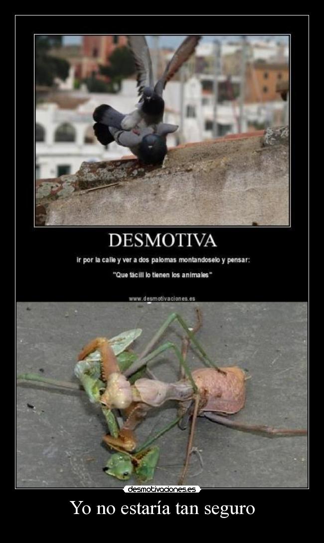 Yo no estaría tan seguro -