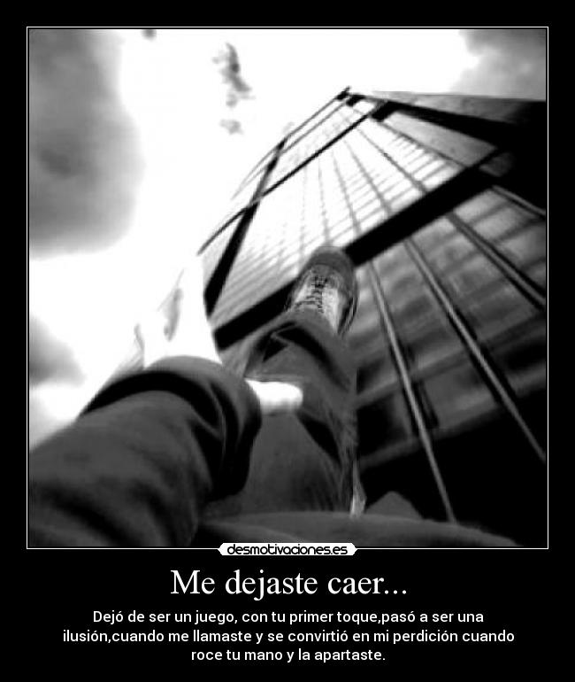Me dejaste caer... -