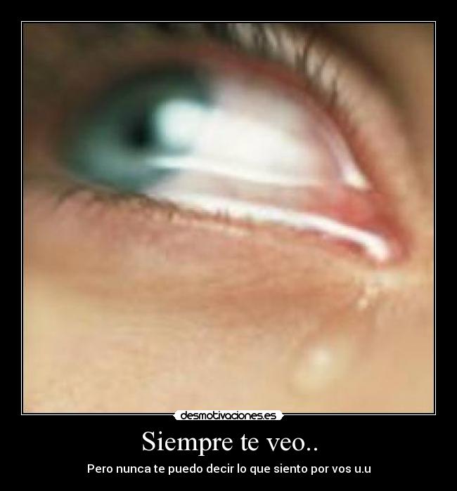 Siempre te veo.. -