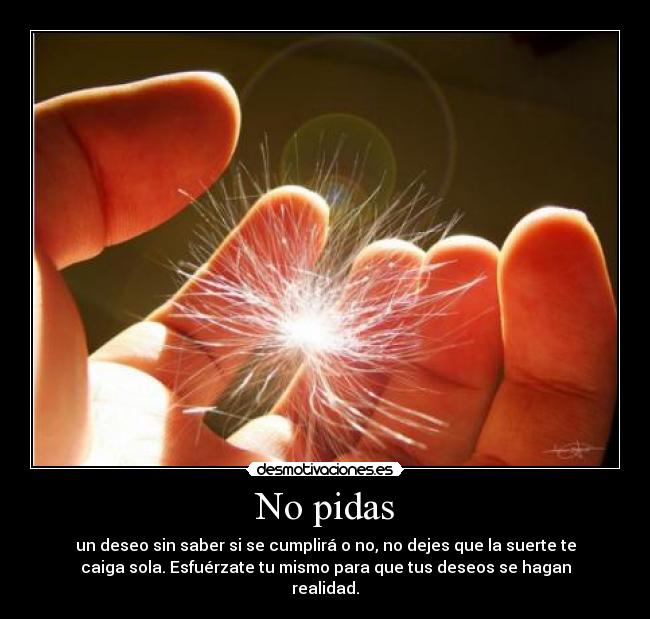 No pidas -
