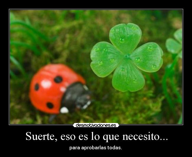 Suerte, eso es lo que necesito... - 