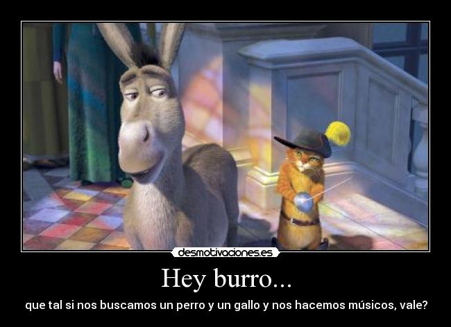 Hey burro... - que tal si nos buscamos un perro y un gallo y nos hacemos músicos, vale?