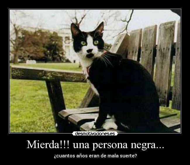 Mierda!!! una persona negra... - 