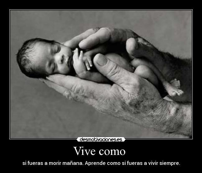 Vive como - si fueras a morir mañana. Aprende como si fueras a vivir siempre.