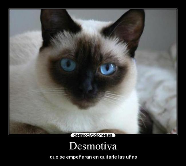 Desmotiva - 