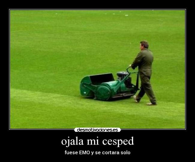 ojala mi cesped -