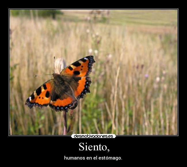 Siento, - humanos en el estómago.