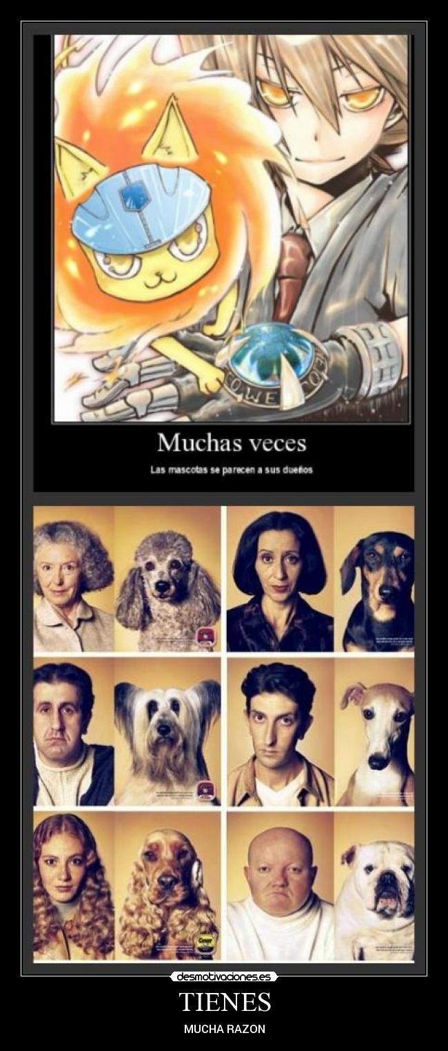 TIENES - MUCHA RAZON