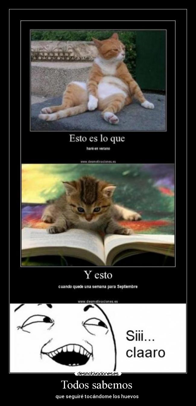 Todos sabemos - que seguiré tocándome los huevos