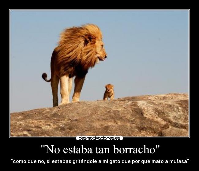 No estaba tan borracho -