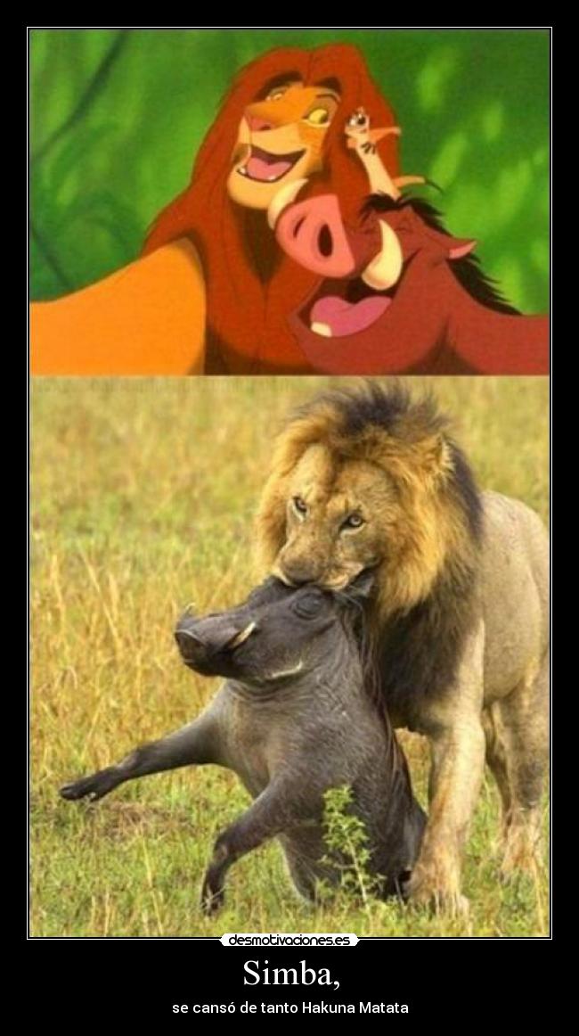 carteles simba desmotivaciones