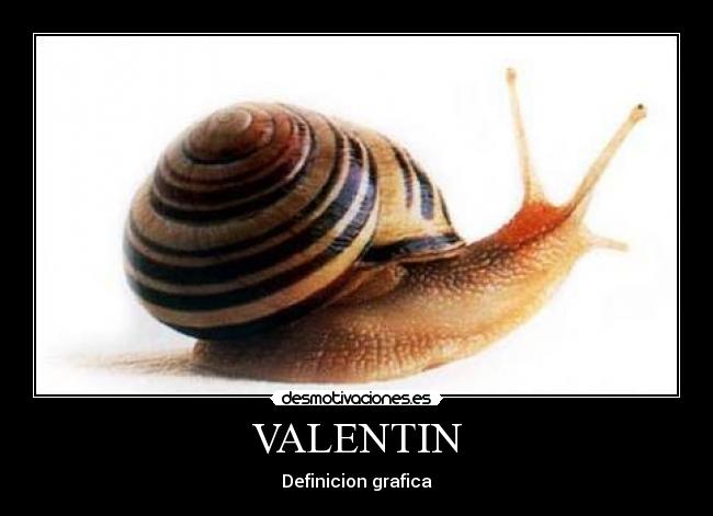 VALENTIN - 