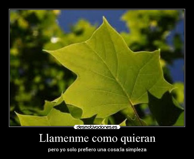 Llamenme como quieran - pero yo solo prefiero una cosa:la simpleza