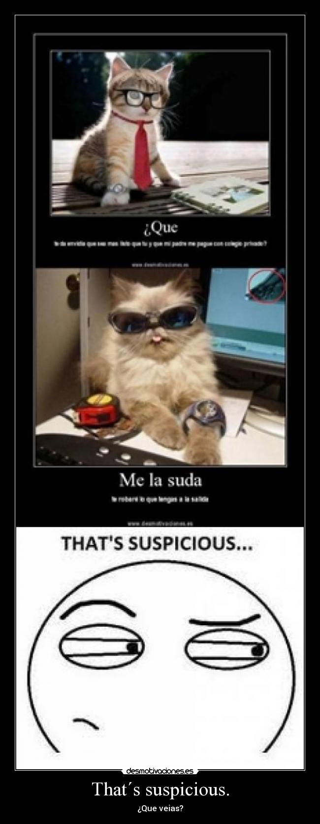 That´s suspicious. - ¿Que veias?