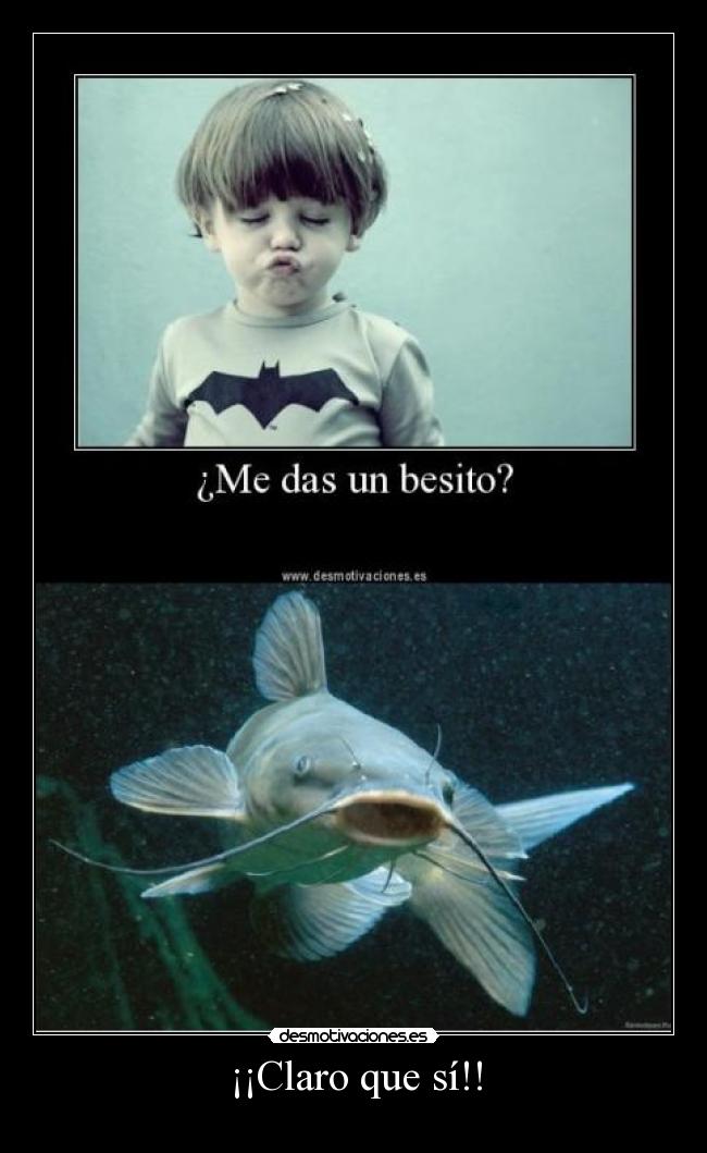 ¡¡Claro que sí!! -  