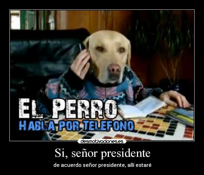Si, señor presidente - de acuerdo señor presidente, allí estaré