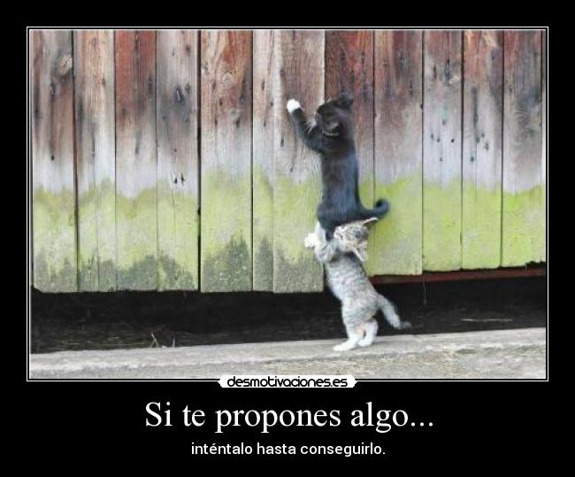 Si te propones algo... - 