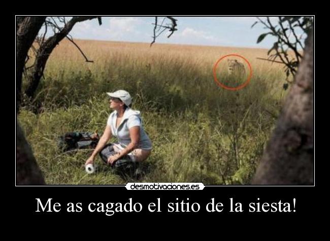 Me as cagado el sitio de la siesta! - 