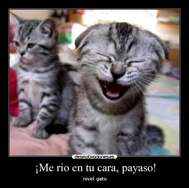 carteles letii91 desmotivaciones