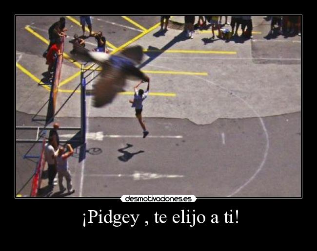 ¡Pidgey , te elijo a ti! - 