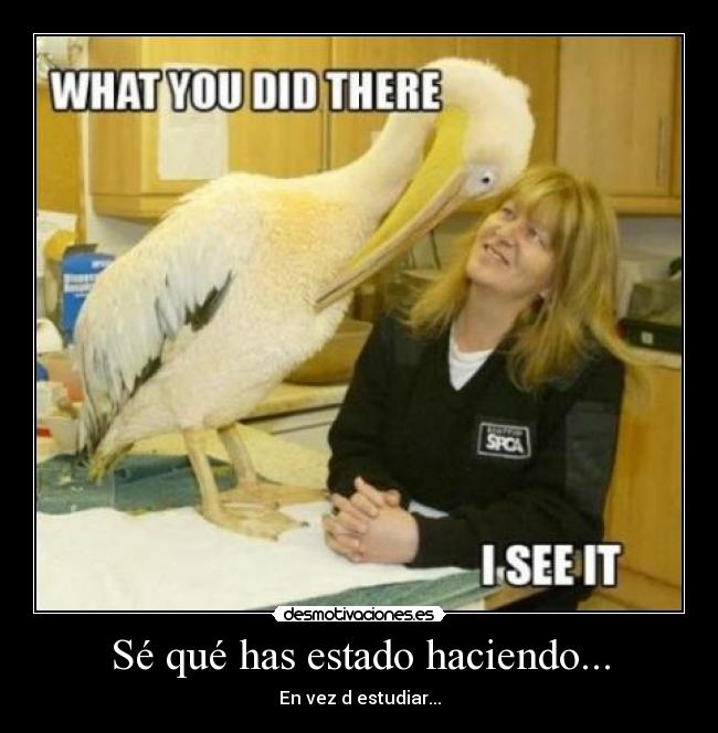 carteles has estaado haciendo vez estudiar desmotivaciones