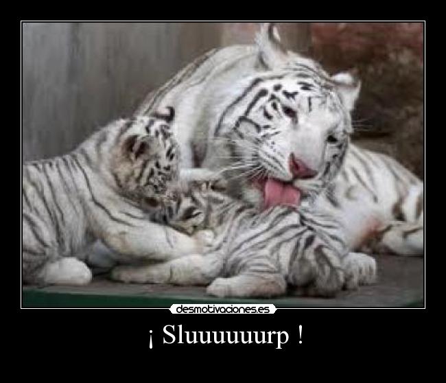 ¡ Sluuuuuurp ! - 