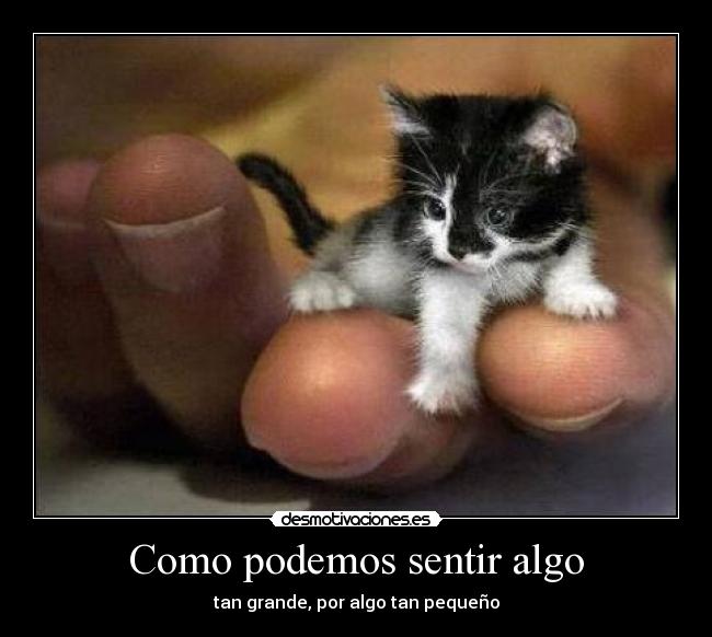 Como podemos sentir algo -