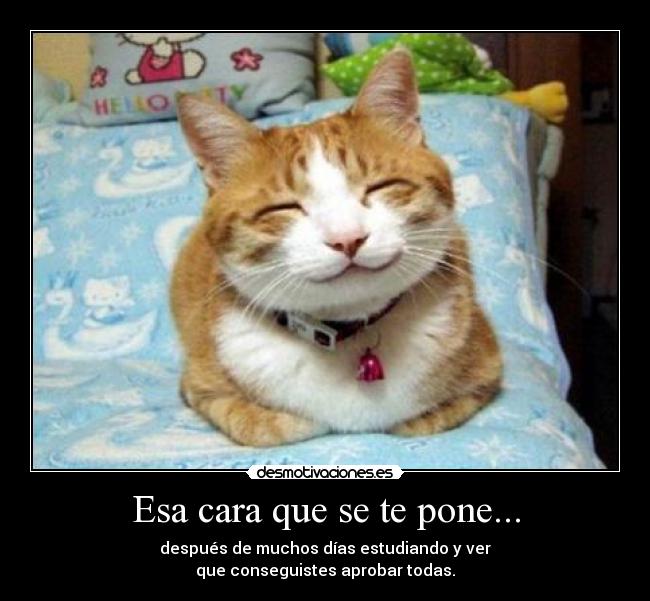 Esa cara que se te pone... -