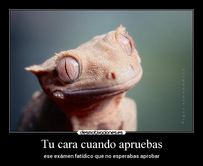 Tu cara cuando apruebas -